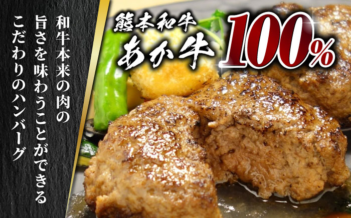 【全12回定期便】あか牛 100％ハンバーグ セット 120g×6個【有限会社 三協畜産】 九州産 国産 赤身 赤牛 褐牛 あかうし 褐毛和種  [ZEB083]