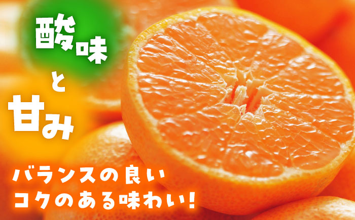 【先行予約】みかん 約5kg【道の駅 水辺プラザかもと】 [ZEG002]