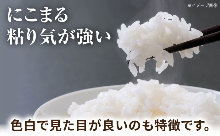 筍とお米(にこまる)セット 【道の駅 水辺プラザかもと】 [ZEG010]