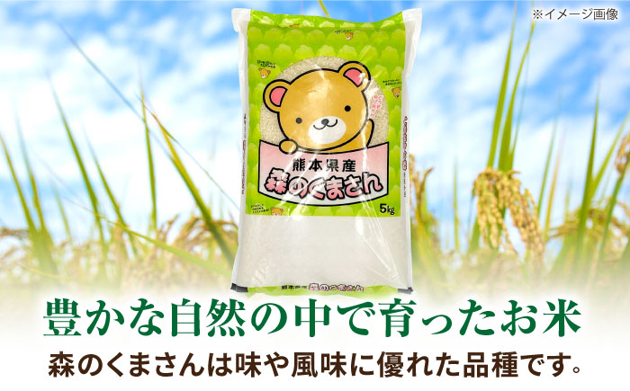 森のくまさん 5kg 【道の駅 水辺プラザかもと】 [ZEG011]