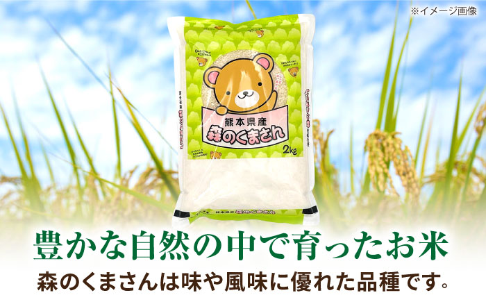 森のくまさん 2kg 【道の駅 水辺プラザかもと】 [ZEG015]