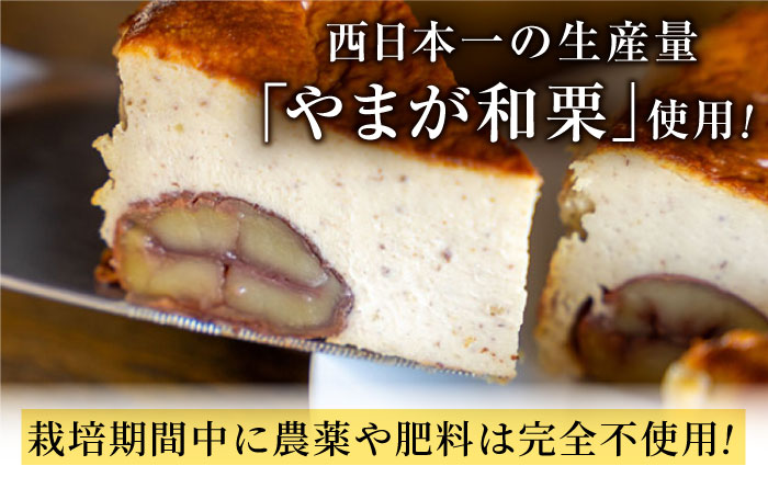 【先行予約】山鹿和栗のバスクチーズケーキ５号（15cm） 【metro】 [ZEH009]