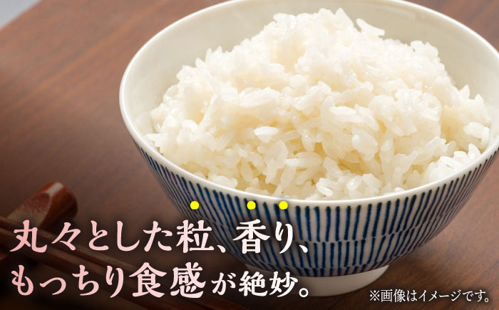 にこまる 白米 5kg 【竹下農園】 [ZEL015]