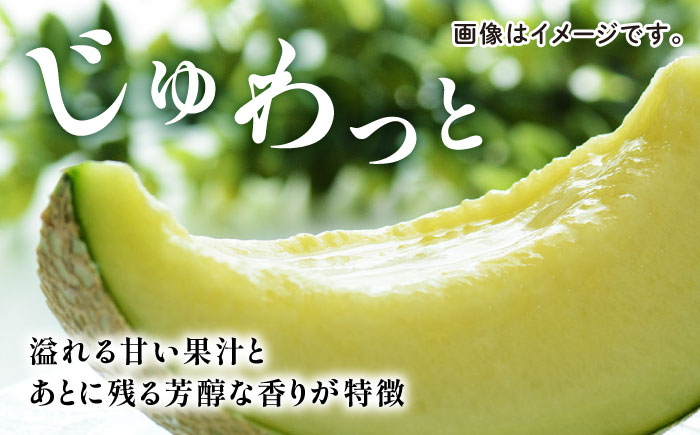 【先行予約】年内発送 愛情 メロン 2玉【とみおか農園】 [ZEM001]