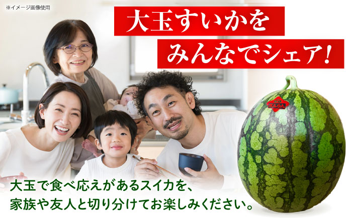 【先行予約】 大玉スイカ 約7kg以上（1玉） 【とみおか農園】 [ZEM004]