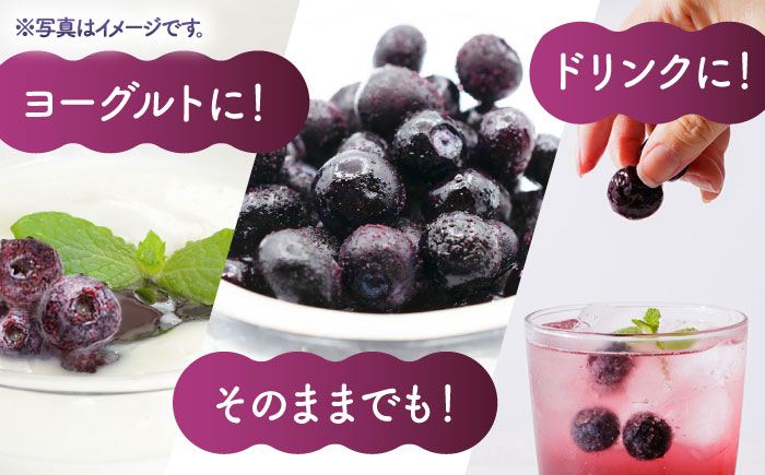【先行予約】【12回定期便】【訳あり】 冷凍ブルーベリー 小粒 約2kg（約500g×4pc） 【すみれファーム】 [ZEP056]