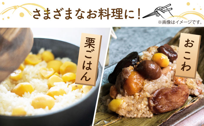 【先行予約】 和栗 約1kg L～3L 【すみれファーム】 [ZEP057]