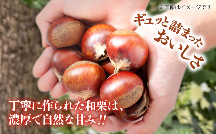 【先行予約】 むき栗 約750ｇ（約250g×3pc） 【すみれファーム】 [ZEP064]