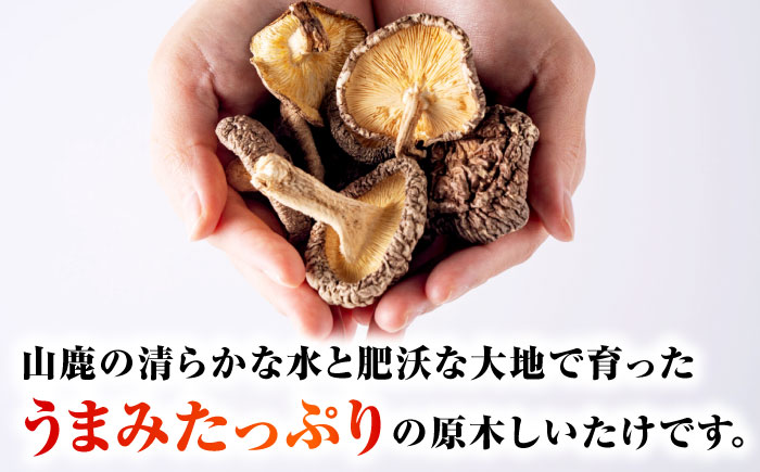 原木 干ししいたけ 小袋280ｇ（70ｇ×４袋） 【すみれファーム】 [ZEP068]