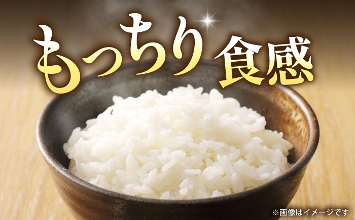 〈令和7年度新米〉 熊本県産　お米 森のくまさん 5kg 【すみれファーム】 新米 令和7年産 [ZEP072]