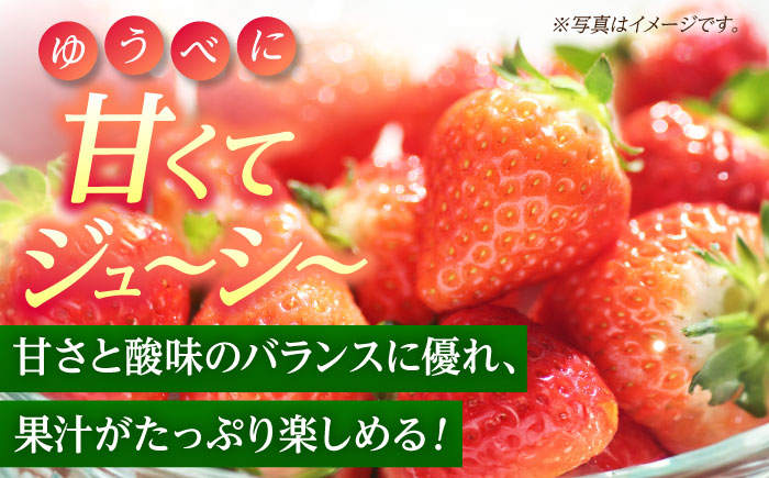 いちご Mサイズ ゆうべに 2kg（8pc）【熊本ベリー】いちご イチゴ 苺 ゆうべに 大粒いちご  [ZER008]