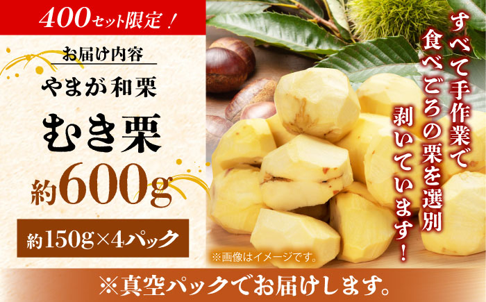 【先行予約】 やまが和栗 大粒むき栗 約600g（約150g×4pc）小分け【古川農園】 [ZES001]