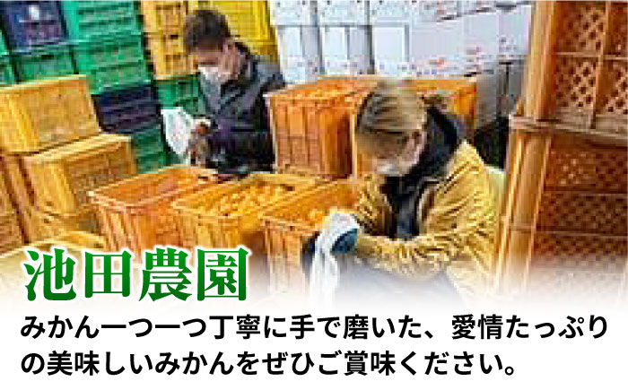 中生温州みかん 5kg 【池田農園】 [ZEX003]