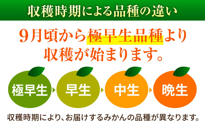 温州みかん 3kg 極早生 早生 中生 晩生 みかん 【池田農園】 [ZEX005]