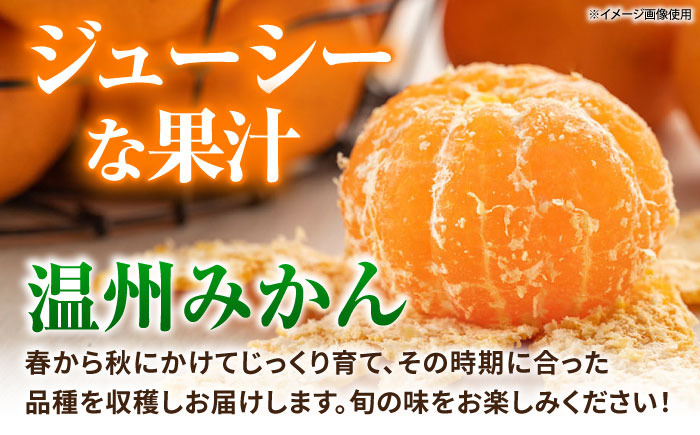 【先行予約】【全4回定期便】 訳あり 温州みかん 5kg 極早生 早生 中生 晩生 みかん 【池田農園】 [ZEX012]