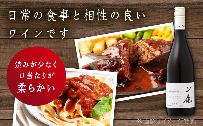 【年内発送は12月21日ご入金分まで！】 マスカット・ベーリーA「山鹿」　赤ワイン・辛口　750ml ギフト箱入り 【菊鹿ワイナリー】 [ZFB001]