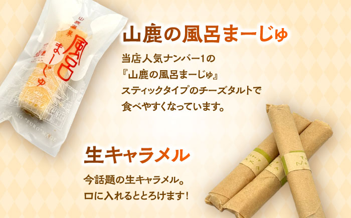 スイーツ豪華4種詰め合わせセット 【パティスリーのなか】 [ZFC004]