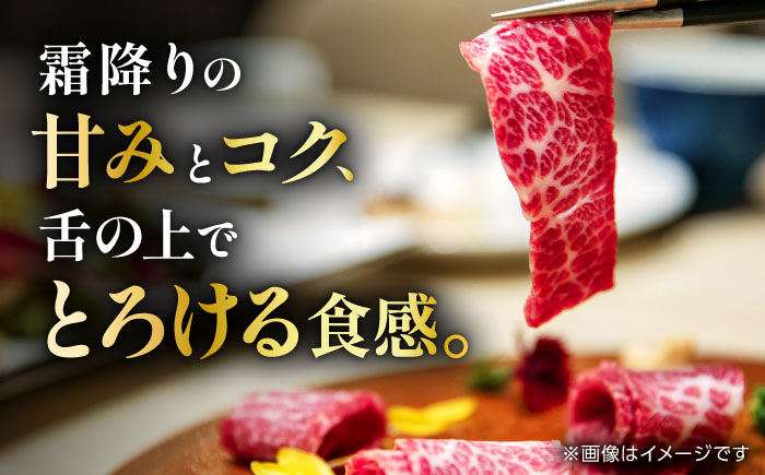 こだわりの馬刺し 霜降りブロック 約300g(約150g×2ブロック) 馬刺し醤油付き 【フードサービス むらかみ】 [ZFE002]