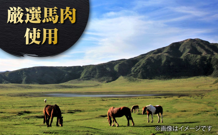 極上！馬肉ホルモン味噌煮込み（約180g×10）【オルガニコ山鹿】 [ZFH008]