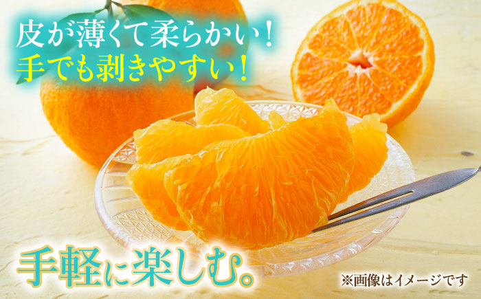 【先行予約】不知火 約5kg 柑橘 蜜柑 みかん フルーツ 【日本フルーツ株式会社】 [ZFJ002]