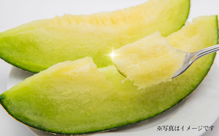 【先行予約】肥後グリーンメロン 約2kg(1玉入)  メロン グリーンメロン フルーツ 熊本県産 【日本フルーツ株式会社】 [ZFJ005]
