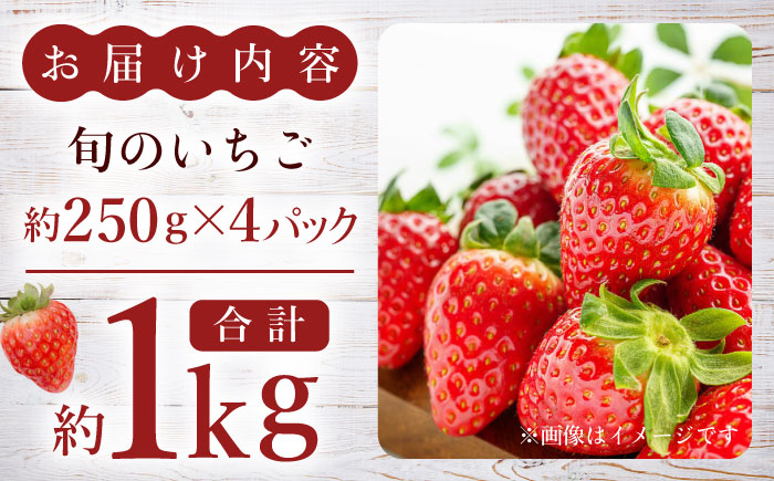 【先行予約】熊本県産いちご 約１kg（250g×4pc） イチゴ フルーツ 果物 熊本県産 熊本【日本フルーツ株式会社】 [ZFJ009]