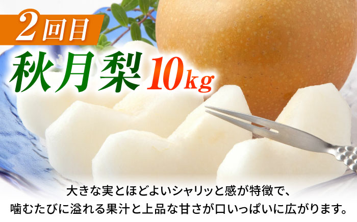 【先行予約】【3回定期便】 梨 約10kg 計約30kg（豊水・秋月・新高）  梨 ナシ フルーツ 果物 【日本フルーツ株式会社】 [ZFJ025]