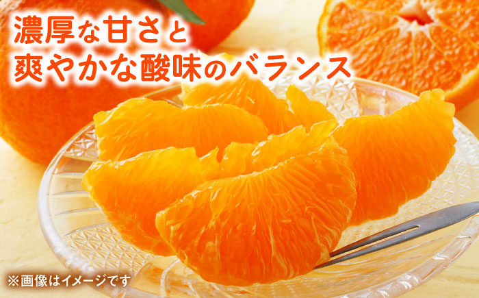 【先行予約】 デコポン　約3kg 柑橘 みかん 蜜柑 熊本 フルーツ 果物 【日本フルーツ株式会社】 [ZFJ033]