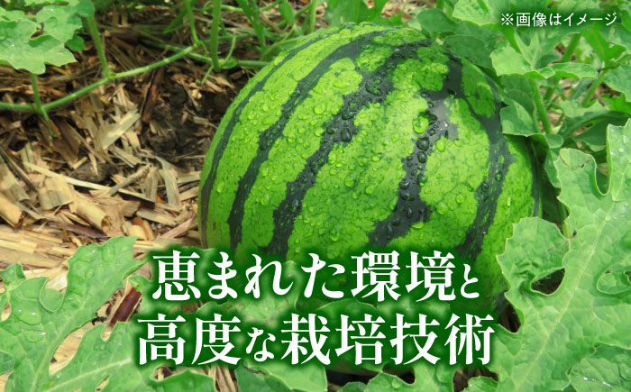 【先行予約】 大玉スイカ Sサイズ 2玉入り 約4kg  すいか 小玉 熊本 フルーツ 野菜 果物 【日本フルーツ株式会社】 [ZFJ039]