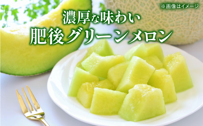 【先行予約】 小玉スイカ&肥後グリーンメロンの食べ比べ 各1玉（計2玉 約3.5kg） すいか 小玉 メロン グリーンメロン 熊本 フルーツ 野菜 果物 【日本フルーツ株式会社】 [ZFJ040]