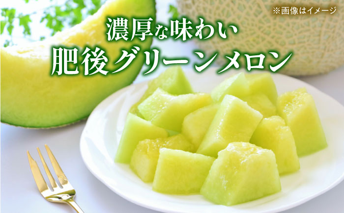 【先行予約】 小玉スイカ&肥後グリーンメロンの食べ比べ 各2玉（計4玉 約7kg） すいか 小玉 メロン グリーンメロン 熊本 フルーツ 野菜 果物 【日本フルーツ株式会社】 [ZFJ041]