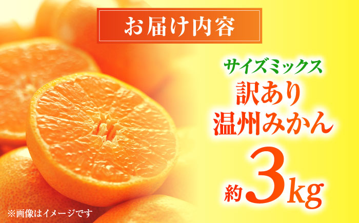 【先行予約】 温州みかん 訳あり サイズミックス 3S-3L 約3kg みかん 蜜柑 サイズ 不選別 家庭用 柑橘 フルーツ 果物 【日本フルーツ株式会社】 [ZFJ049]