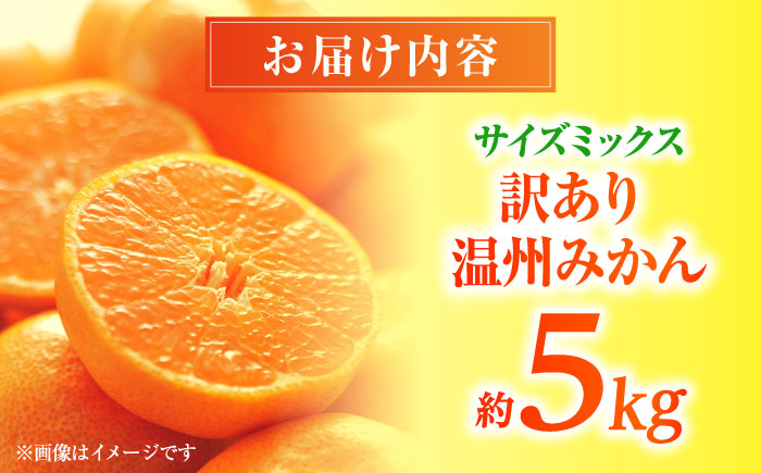 【先行予約】 温州みかん 訳あり サイズミックス 3S-3L 約5kg みかん 蜜柑 サイズ 不選別 家庭用 柑橘 フルーツ 果物 【日本フルーツ株式会社】 [ZFJ050]