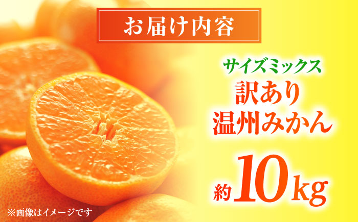 【先行予約】 温州みかん 訳あり サイズミックス 3S-3L 約10kg みかん 蜜柑 サイズ 不選別 家庭用 柑橘 フルーツ 果物 【日本フルーツ株式会社】 [ZFJ051]