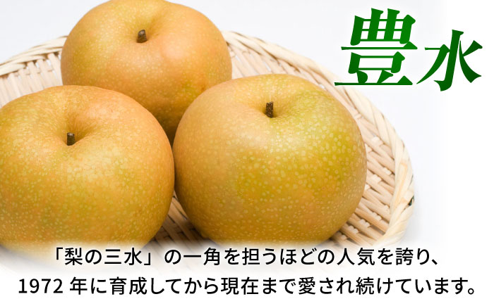 【先行予約】豊水梨　約1.8kg 梨 ナシ フルーツ 果物 【日本フルーツ株式会社】 [ZFJ059]