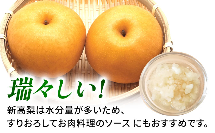【先行予約】新高梨　約3kg 梨 ナシ フルーツ 果物 【日本フルーツ株式会社】 [ZFJ064]