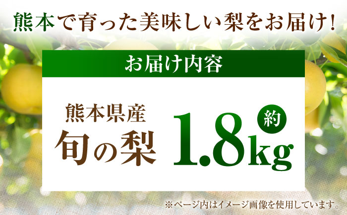 【先行予約】厳選おまかせ梨 約1.8kg 梨 豊水梨 秋月梨 新高梨 果物 フルーツ 【日本フルーツ株式会社】 [ZFJ065]