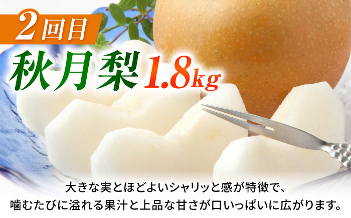 【先行予約】【3回定期便】 梨 約1.8kg 計約5.4kg（豊水・秋月・新高）  梨 ナシ フルーツ 果物 【日本フルーツ株式会社】 [ZFJ069]