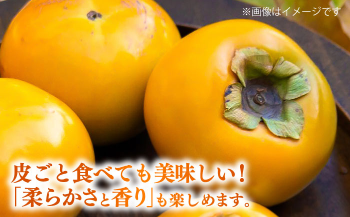 【先行予約】太秋柿 約6kg 柿 カキ フルーツ 果物 秋 【日本フルーツ株式会社】 [ZFJ071]