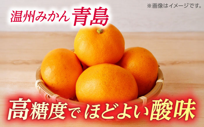 【訳あり】 温州みかん 『青島』 約5kg S～Lサイズ 【奥村果実園】 [ZFK001]