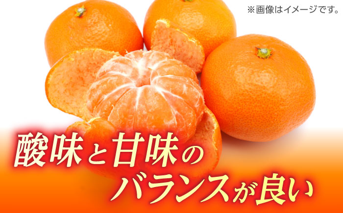 温州みかん 『白川』 約5kg S～Lサイズ 【奥村果実園】 [ZFK007]