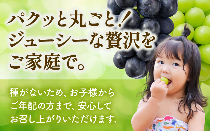 【訳あり】こば農園 種なし ぶどう 2種食べ比べセット 計約600g （ シャインマスカット & 巨峰 or ブラックビート）【合同会社 こば農園】 [ZFO004]