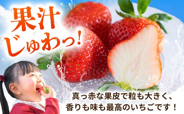 【先行予約】こば農園のこだわりいちご　恋みのり 約1080g（約270g：6~11粒×4パック） 【合同会社 こば農園】 [ZFO006]
