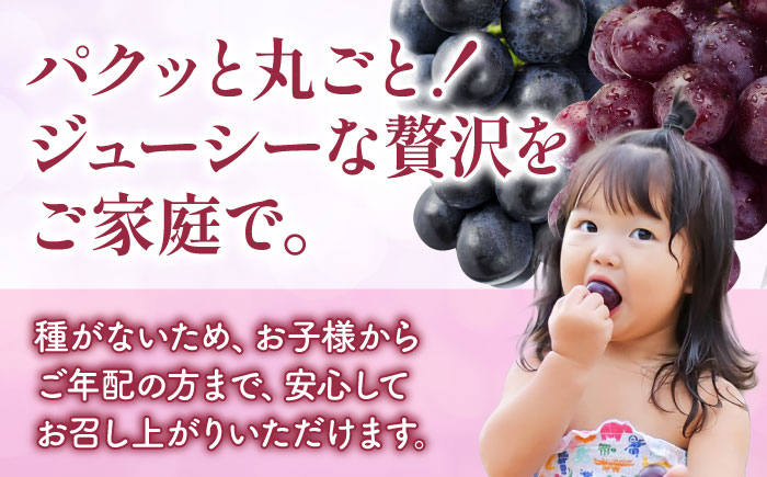 【先行予約】【訳あり】 こば農園 人気の黒ぶどう（巨峰 or ブラックビート）約600g 【合同会社 こば農園】 [ZFO007]