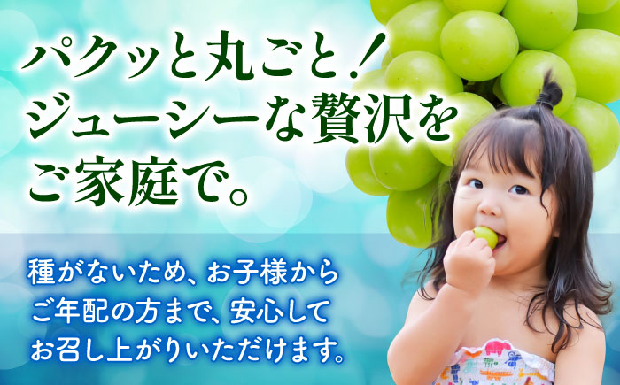 【先行予約】【訳あり】 こば農園 こだわりのシャインマスカット 約600g 【合同会社 こば農園】 [ZFO008]