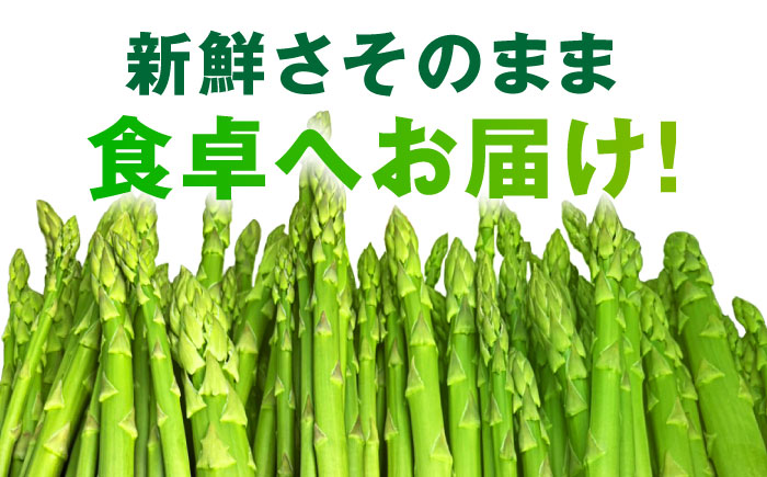 【先行予約】 山鹿市産 いけだ農園のアスパラガス 夏芽(M~Lサイズ)　約1kg【いけだ農園】 [ZFP001]