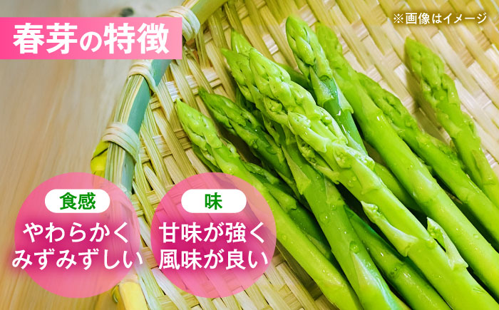 【先行予約】 山鹿市産 いけだ農園のアスパラガス 春芽(M~Lサイズ)　約1kg【いけだ農園】 [ZFP002]