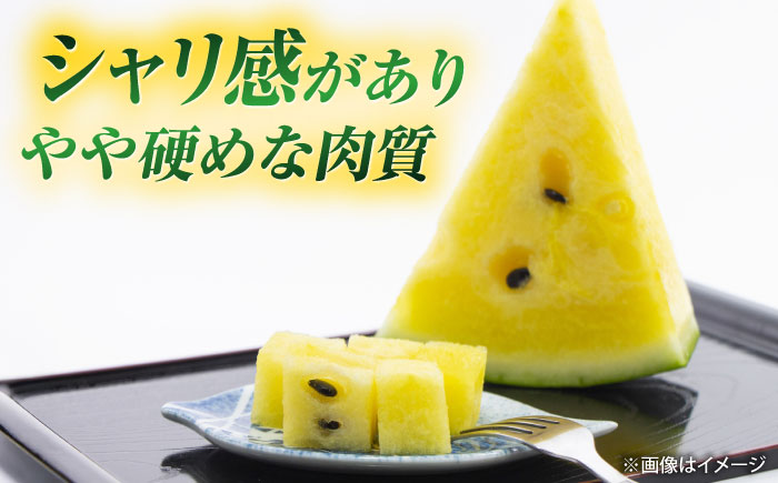 【先行予約】 山鹿の恵み! 匠の育てたムーンフラッシュ　大玉スイカ(約8kg前後×1玉)【きもと農園】 [ZFQ005]