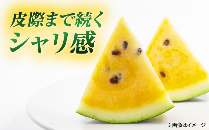 【先行予約】 山鹿の恵み! 匠の育てたサンダーボルト　大玉スイカ(約8kg前後×1玉)【きもと農園】 [ZFQ006]