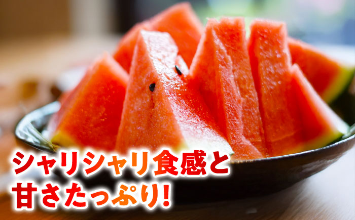 【先行予約】 大玉スイカ！ 2L～3Lサイズ（約7kg～9kg） 厳選 1玉！ すいかの名産地 熊本からお届け 【城野農園】 [ZFV001]